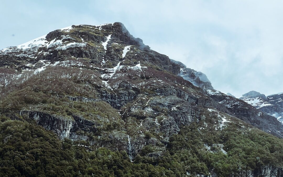 Assurance Berger Australien : Comparatif 2026 et Meilleures Couvertures