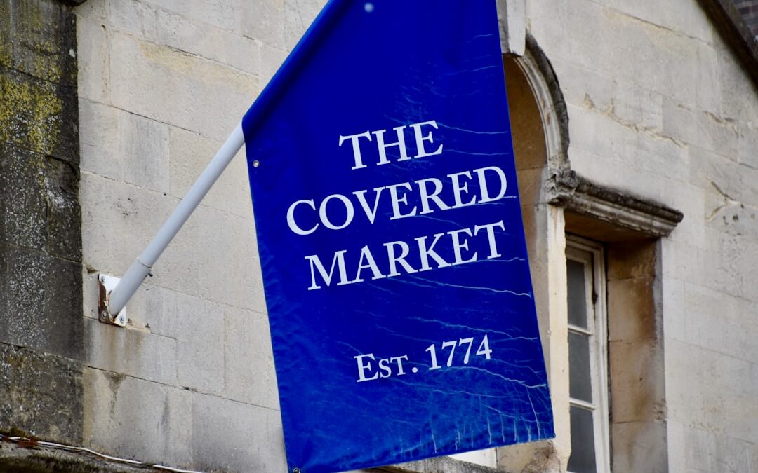 Assurance Cocker Spaniel Anglais : Guide Complet 2026 pour Protéger Votre Compagnon