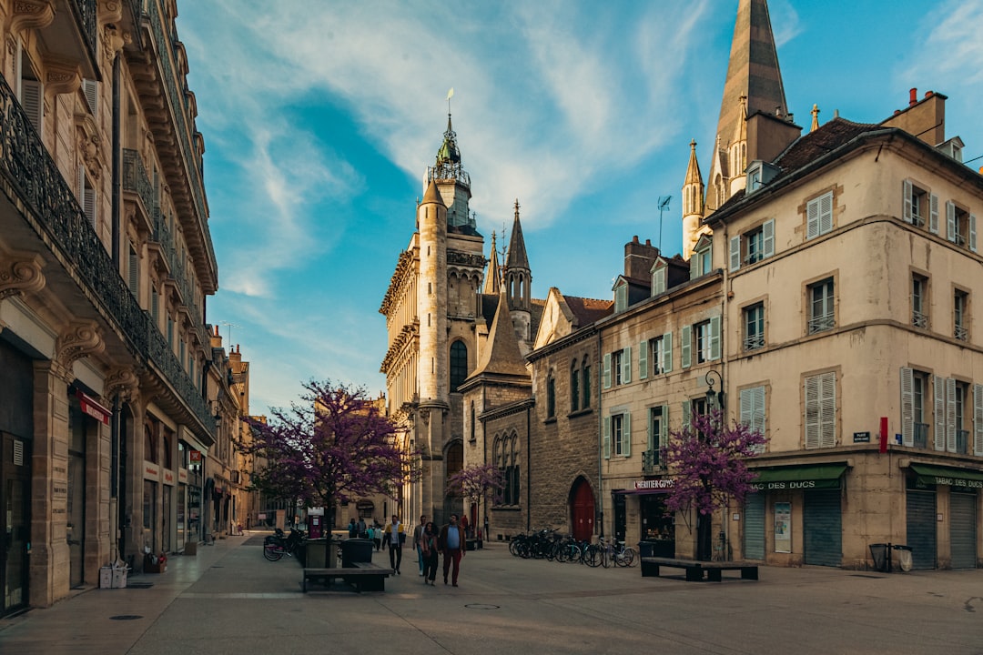 Meilleure école de commerce à Dijon 2026 : classement et programmes
