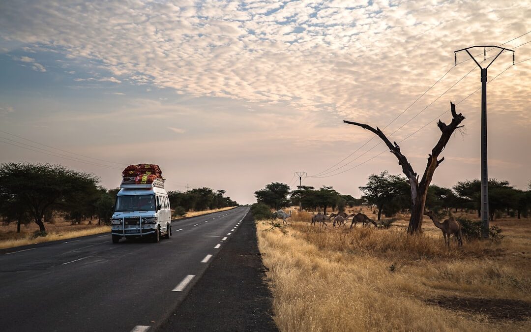 Meilleurs assurance voyage Afrique : comparatif complet 2025