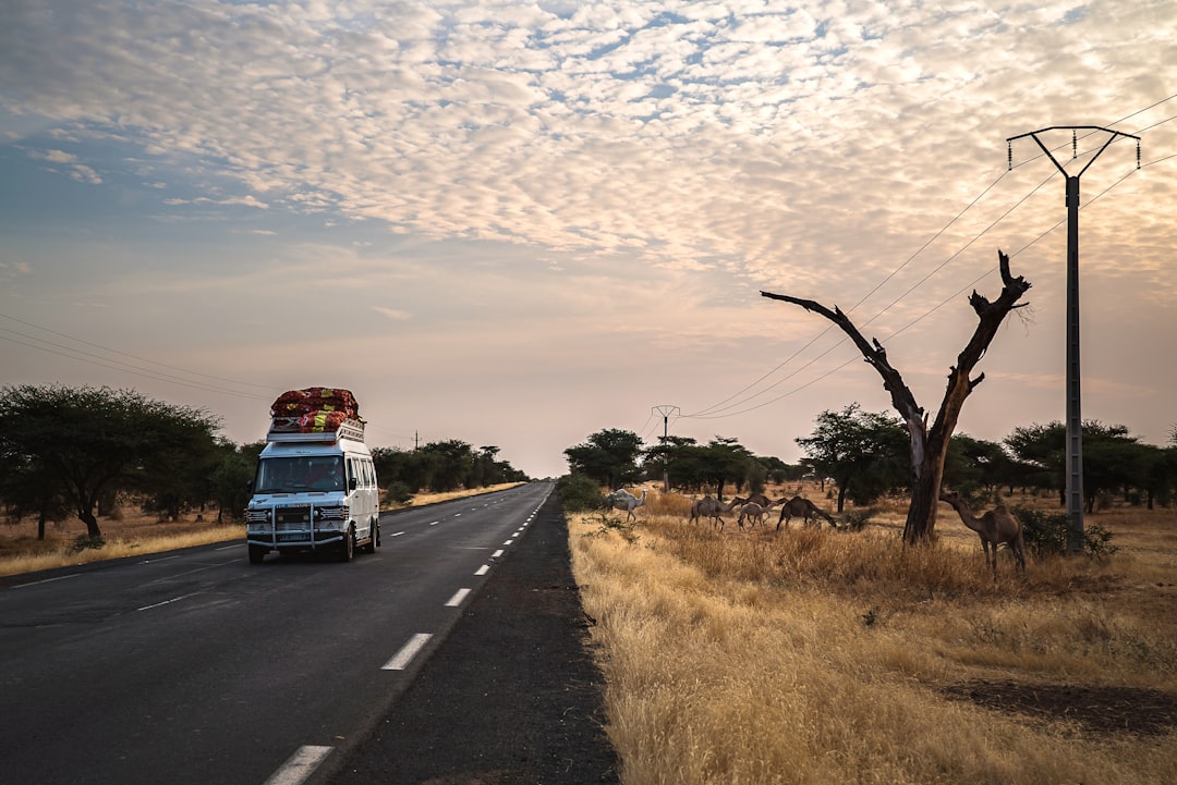 meilleurs assurance voyage Afrique