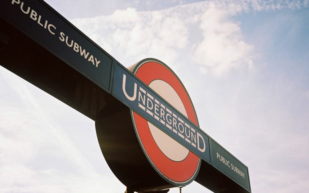 Survey World Reviews UK : Avis complets et verdict 2026