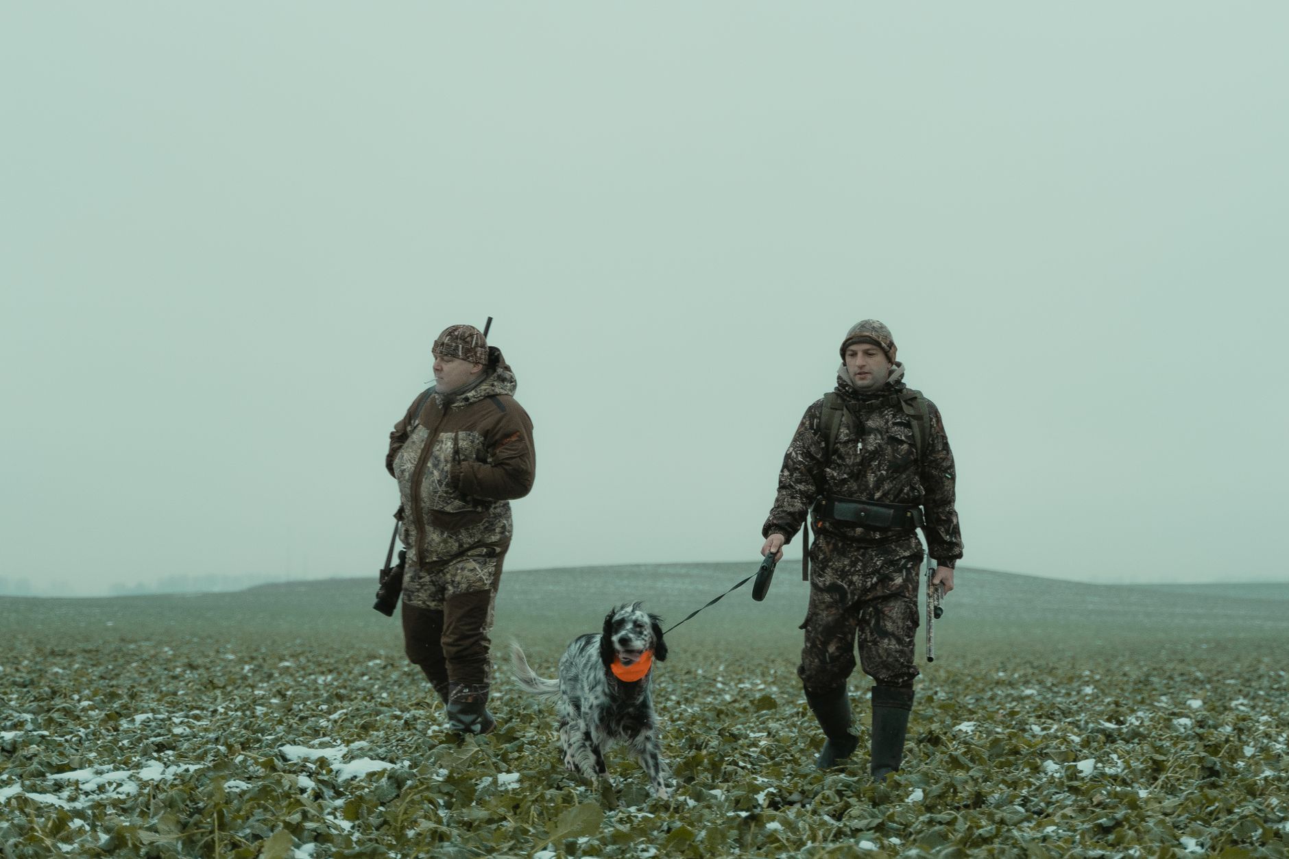 Chasse : Comment profiter des espaces naturels sans risques ?