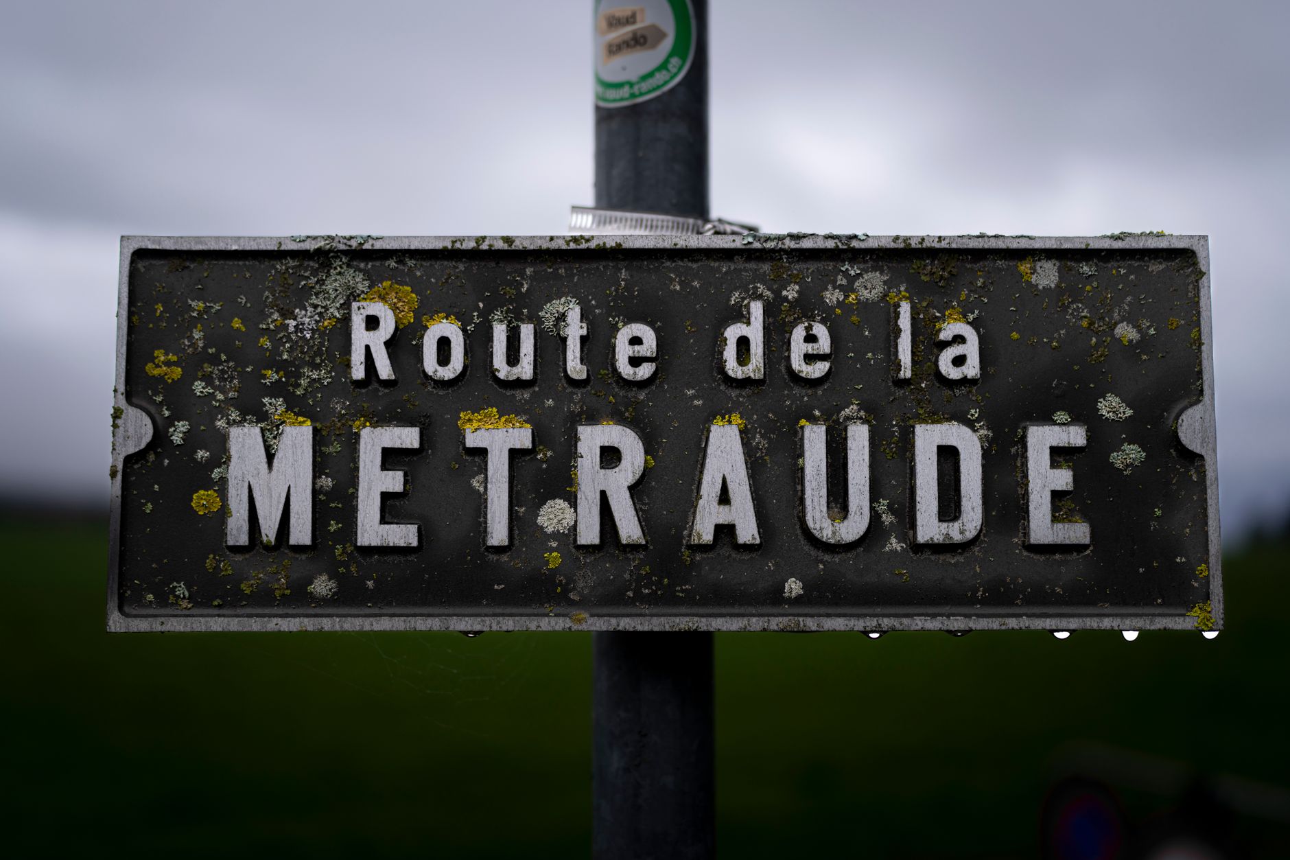 Rendez-vous en montagne : la route de la Bonette rouvre le 30 avril !