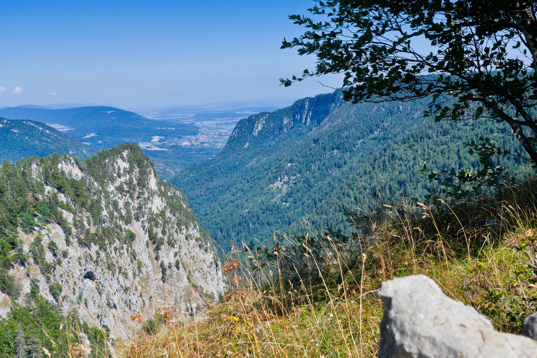 Produits phares de la fête agricole de Sospel : un tour d'horizon