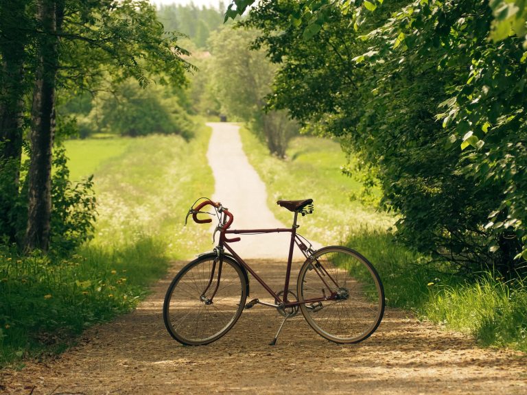 Guide pratique pour un voyage respectueux de l&rsquo;environnement