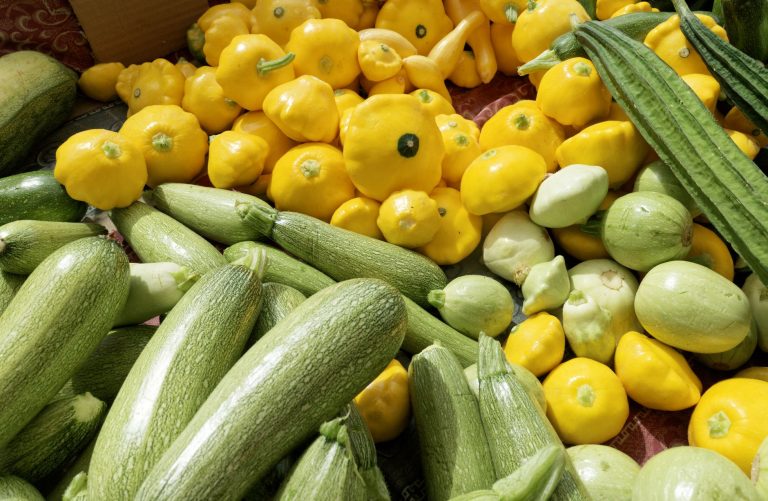 Cuisiner le Pâtisson : Recettes Savoureuses et Astuces