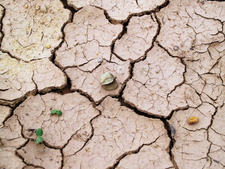 Sécheresse à Saint-Laurent-du-Var : quels impacts pour les habitants ?