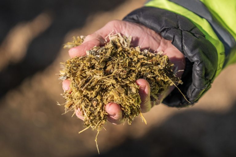 Cannes : une centrale biomasse pour le chauffage des foyers de La Frayère