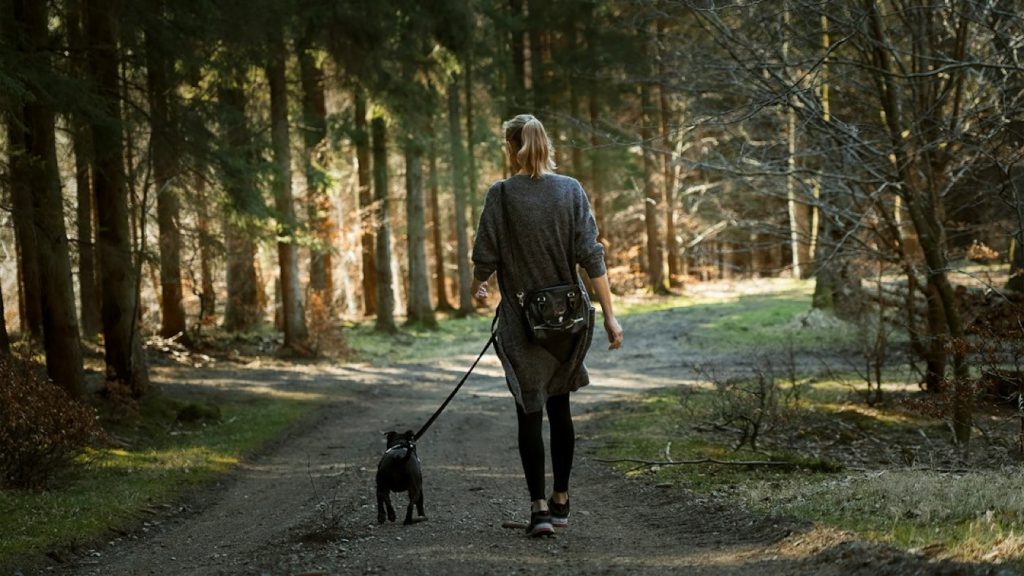 Contrat de garde d'animaux : les clauses à vérifier avant de partir