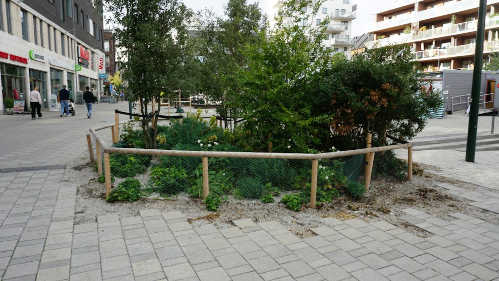 Piquets de bornage dans un jardin avec plan de terrain