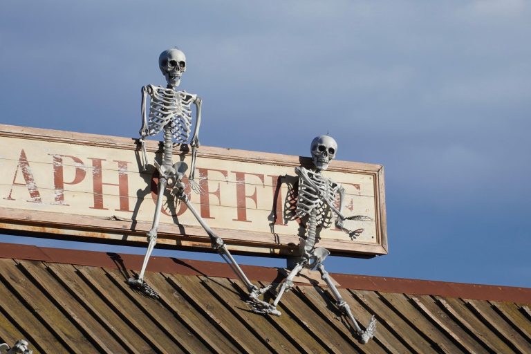 Halloween à Grasse : des activités culturelles qui vont vous surprendre !