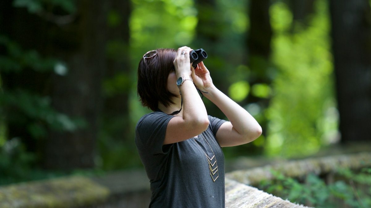 Ne manquez pas ces événements incontournables pour les passionnés d&rsquo;oiseaux dans les Alpes-Maritimes !