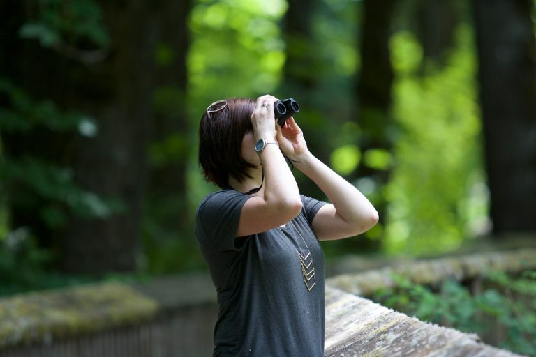 Ne manquez pas ces événements incontournables pour les passionnés d&rsquo;oiseaux dans les Alpes-Maritimes !